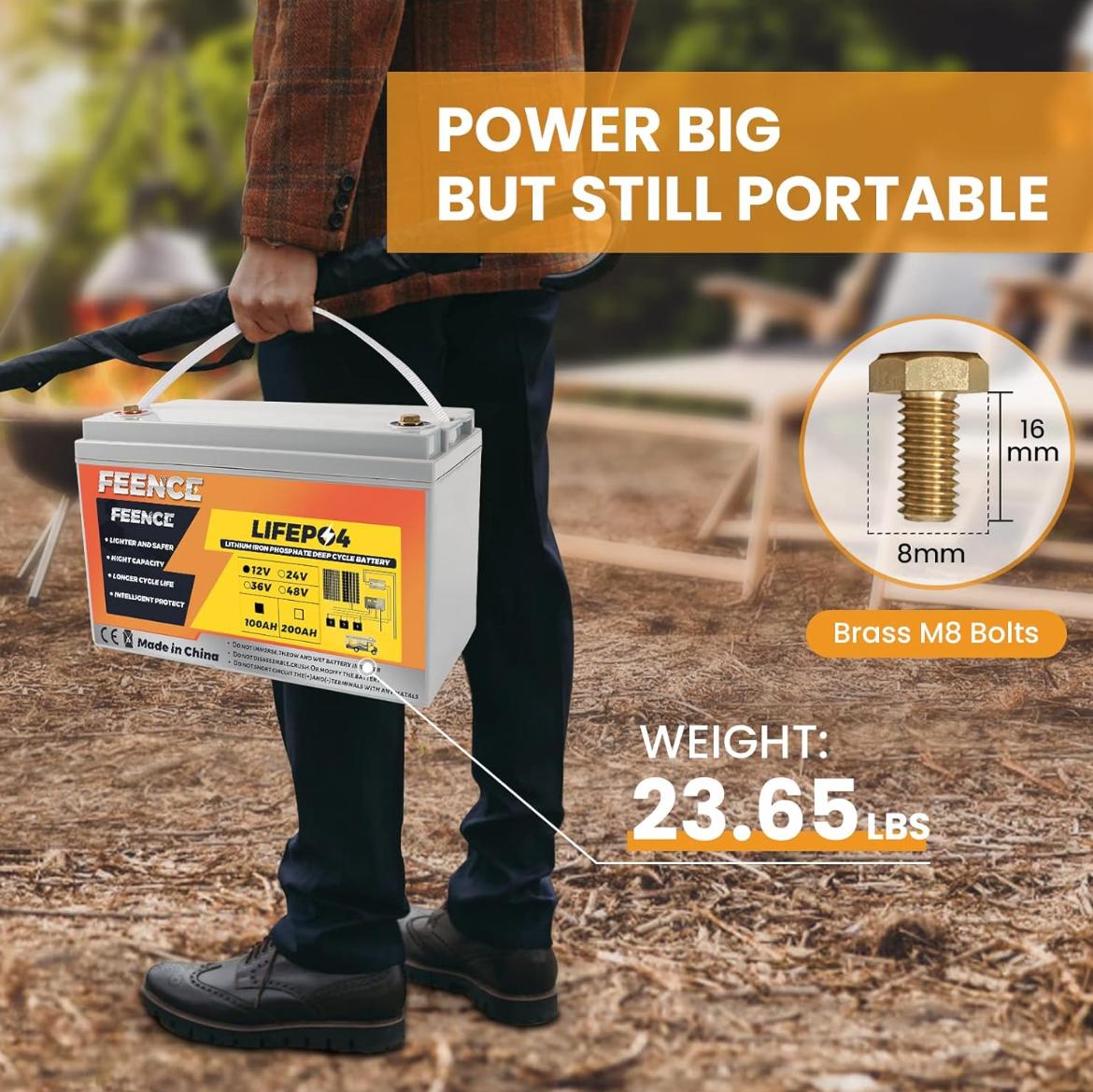 Lithum Iron Phosphate Deep Cycle Batteries- 12V100AH-
