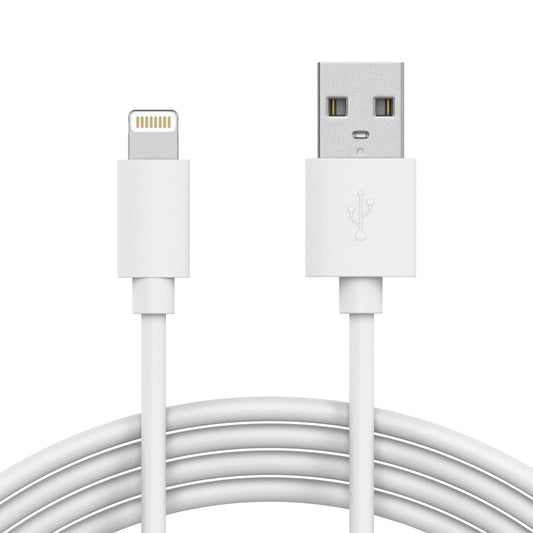 iPhone Charger (Regular)